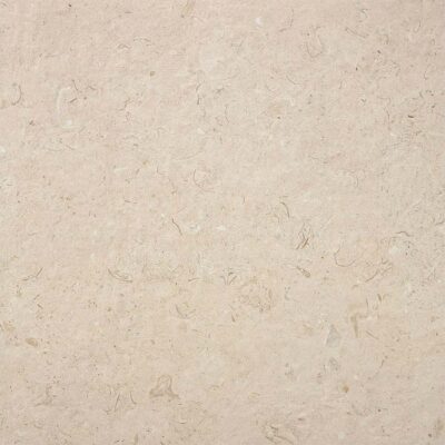 Baldosa Caliope Beige con efecto piedra, presentando una base en tono beige claro con sutiles inclusiones o detalles fosilíferos